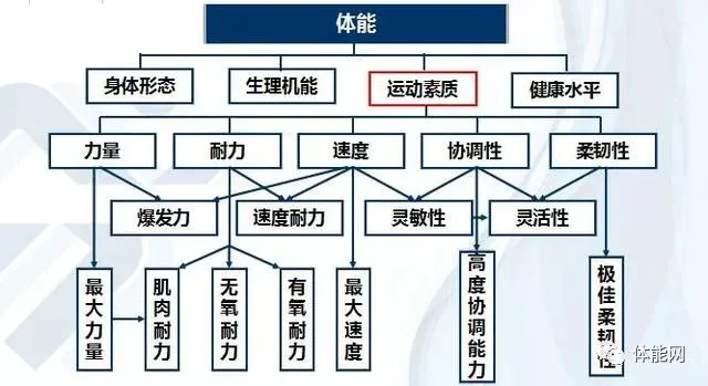 亚军球队的训练方案如何帮助你快速提升篮球技能_2